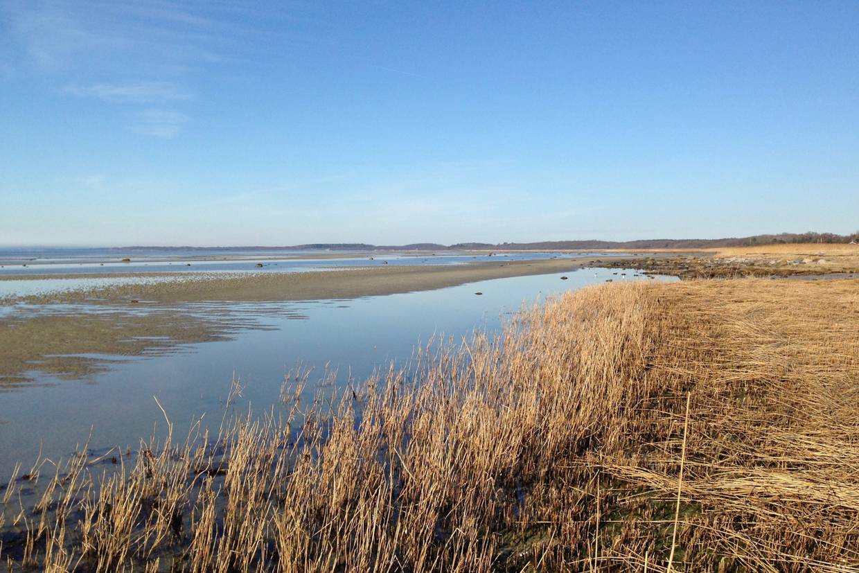 Foto von Over Dråby Küste
