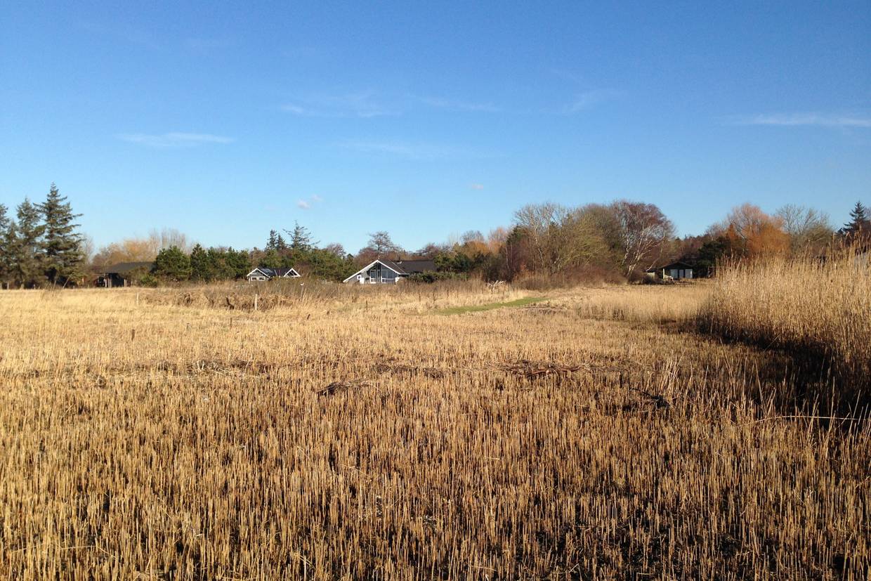 Foto von Over Dråby Küste
