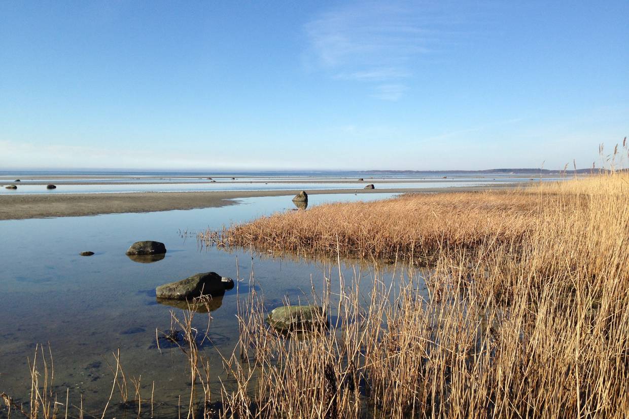 Foto von Over Dråby Küste