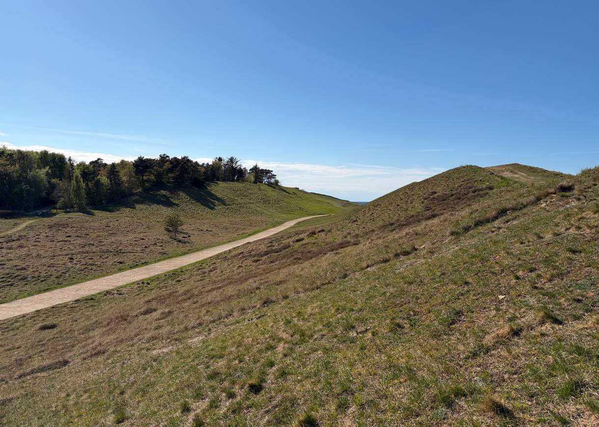 Fußweg zwischen grünen Hügeln zum Meer