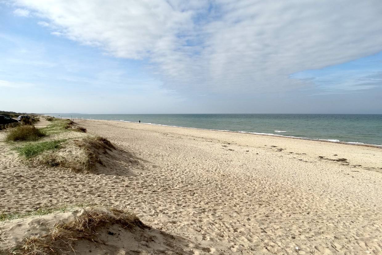 Foto von Tisvildeleje Strand