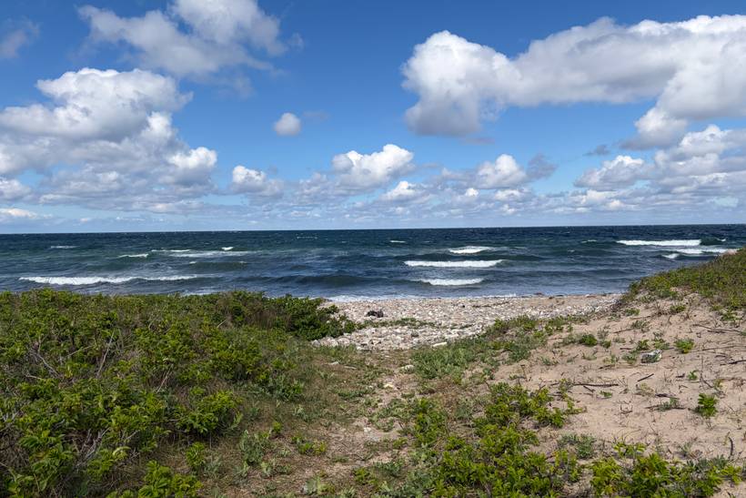 Foto von Udsholt Strand