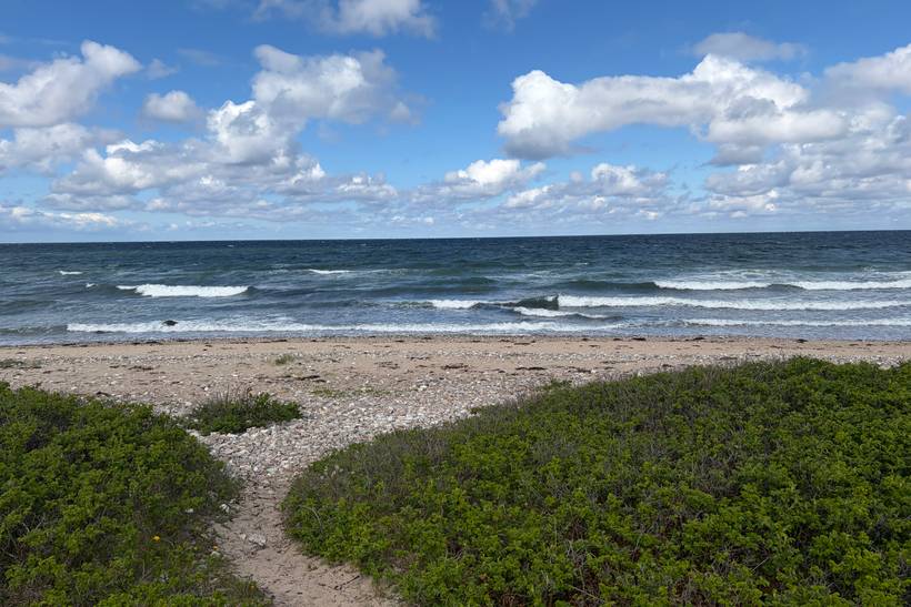 Foto von Udsholt Strand