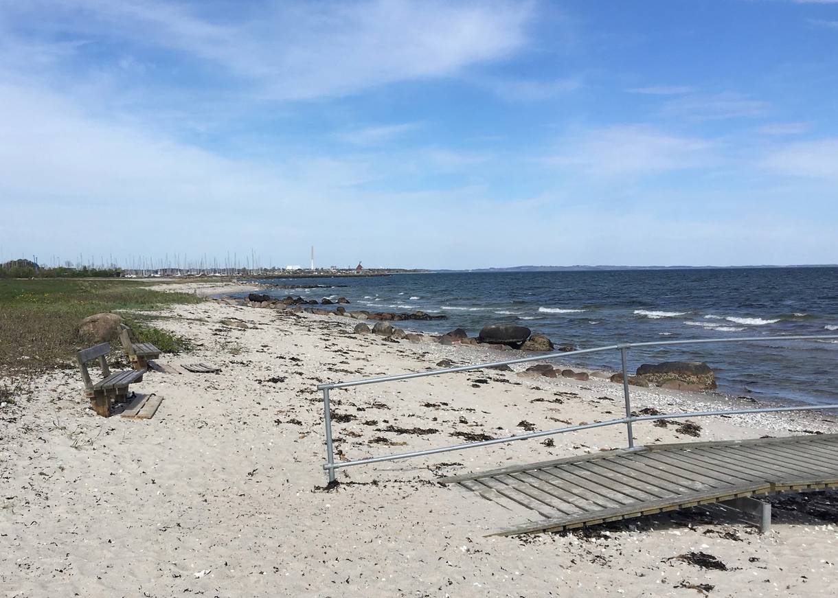 Sandstrand mit trockenem Seetang, ein Steg auf dem Sand führt zum Wasser