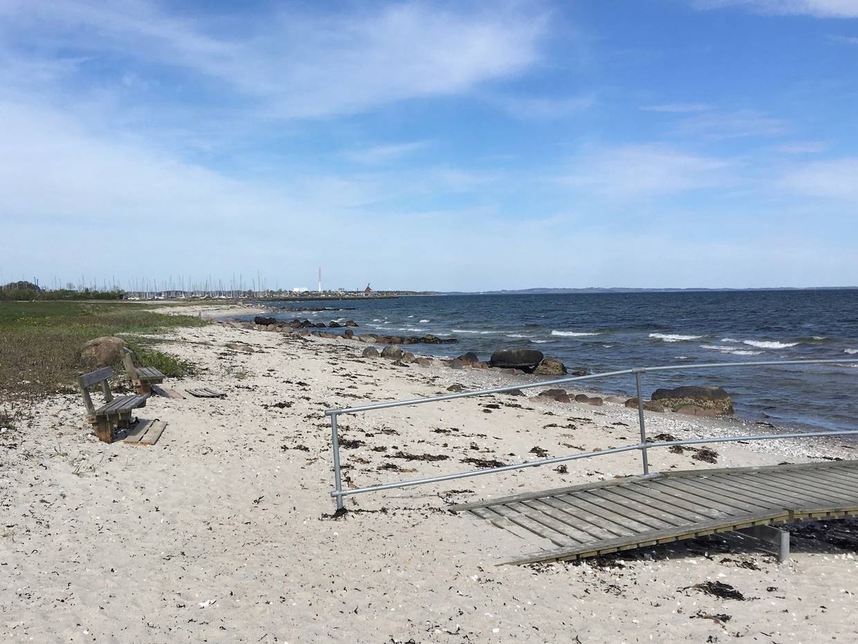 Sandstrand mit trockenem Seetang, ein Steg auf dem Sand führt zum Wasser