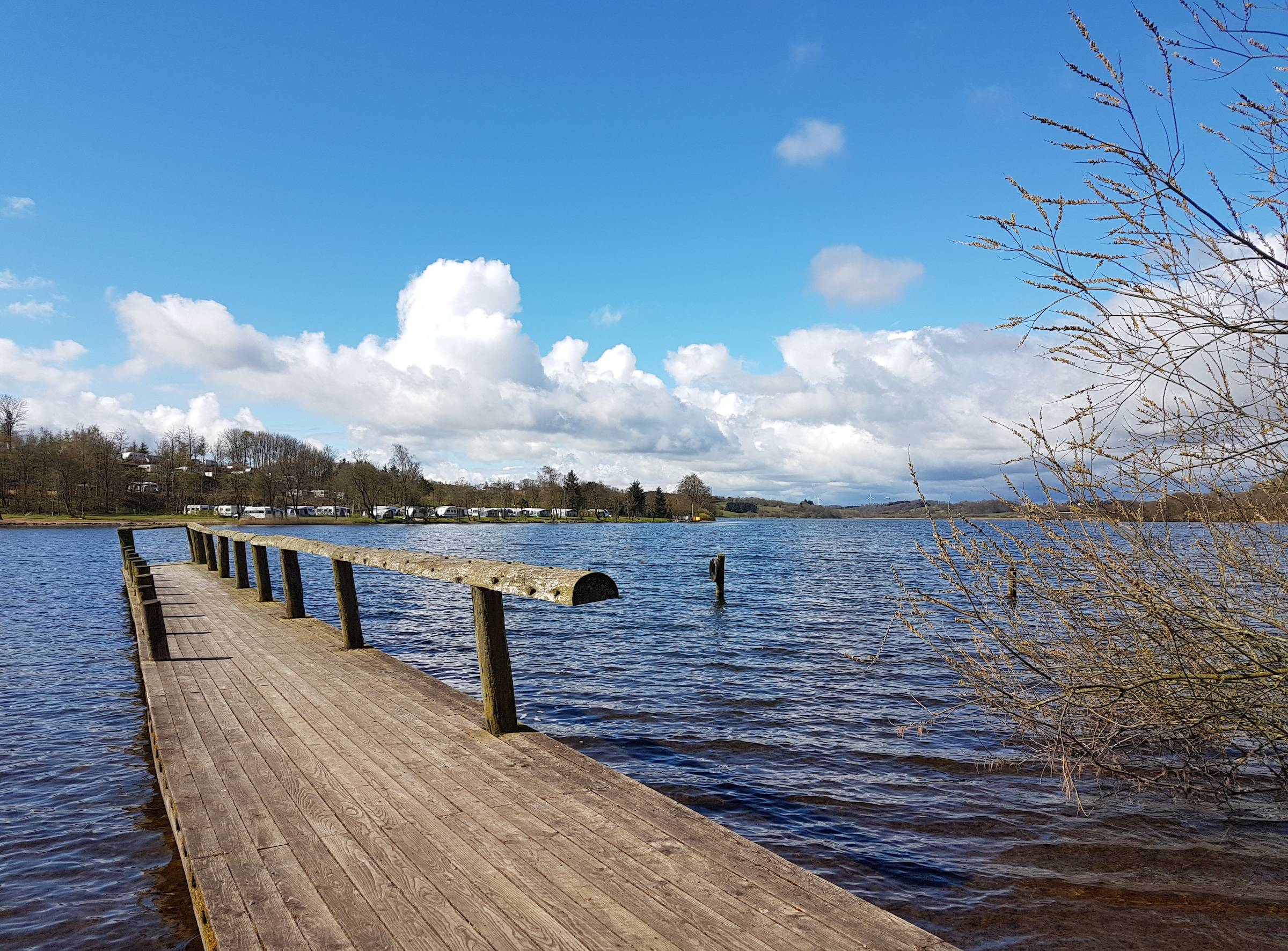 Badesteg an einem See im Frühjahr