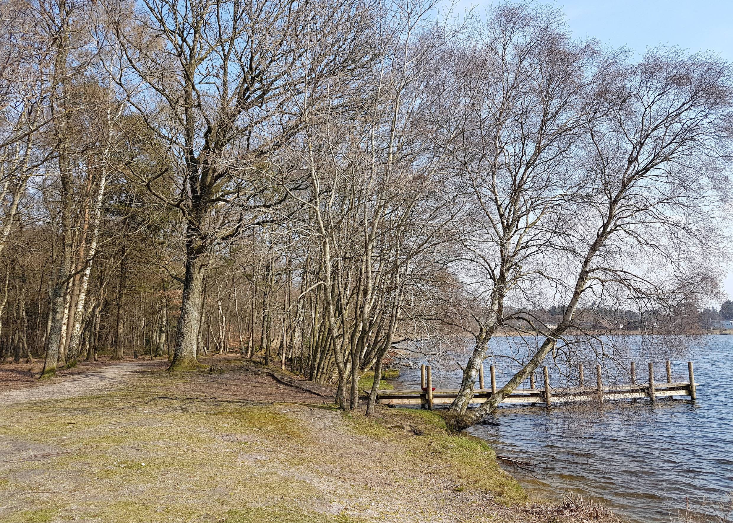 Waldweg an einem See, kleiner Holzsteg im Wasser