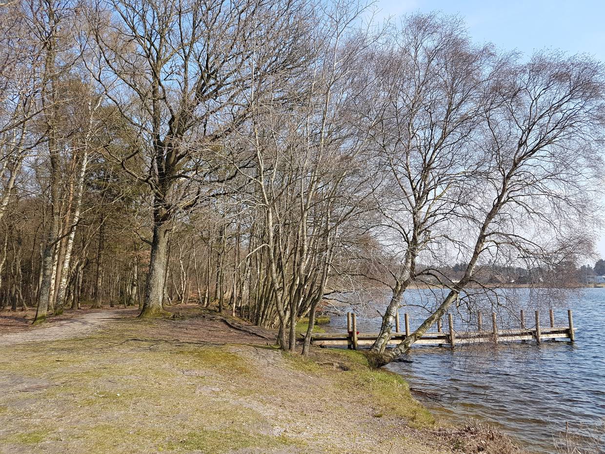 Waldweg an einem See, kleiner Holzsteg im Wasser