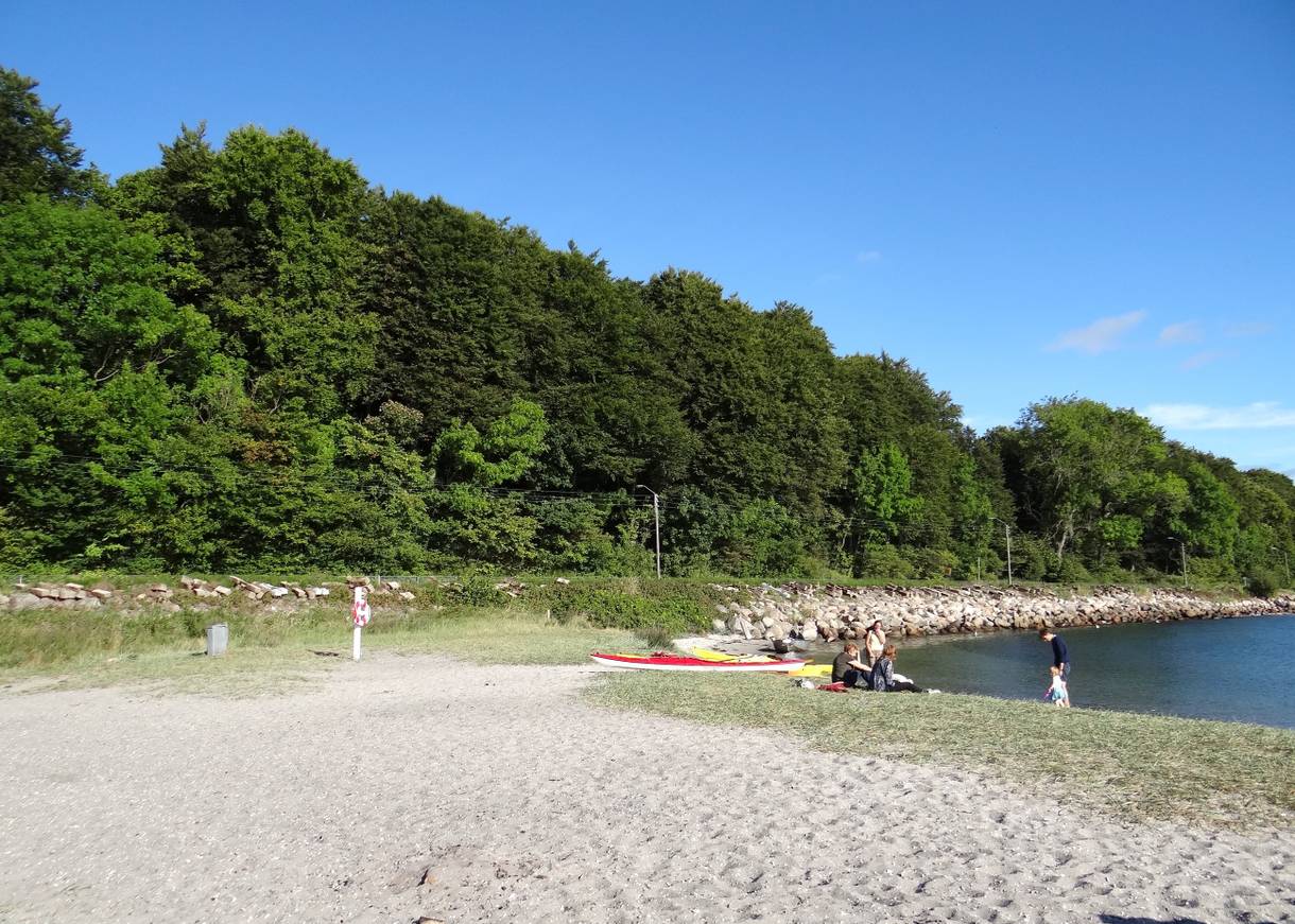 Sandstrand vor einem Wald, am Ufer Kajaks und ein paar Leute