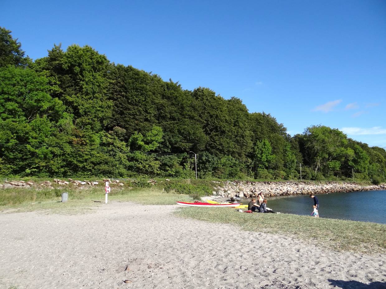 Sandstrand vor einem Wald, am Ufer Kajaks und ein paar Leute