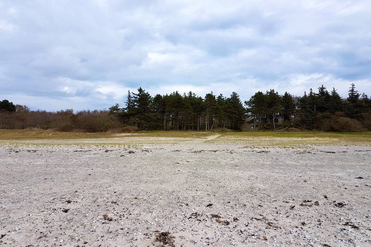 Foto von Ahl Strand