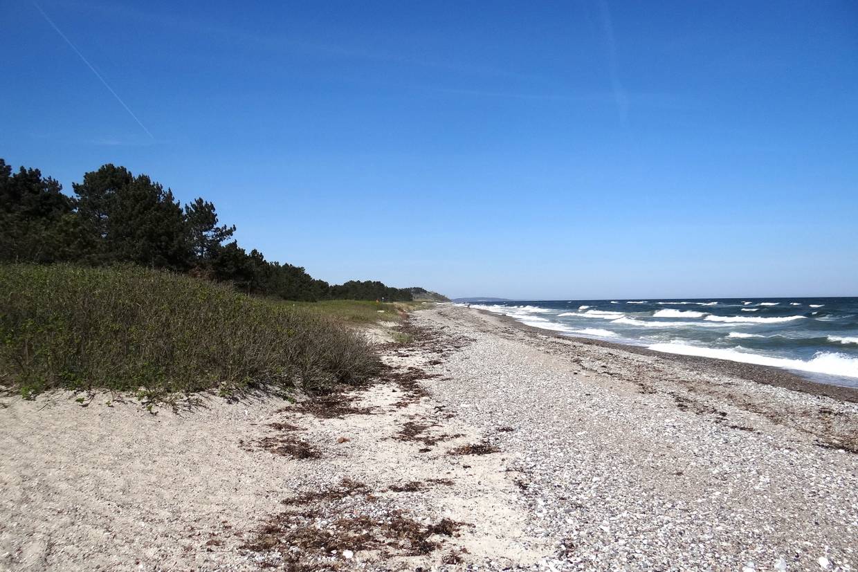 Foto von Elsegårde Strand