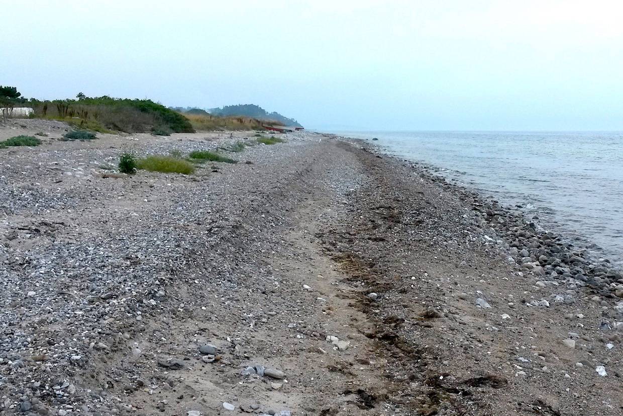 Foto von Elsegårde Strand
