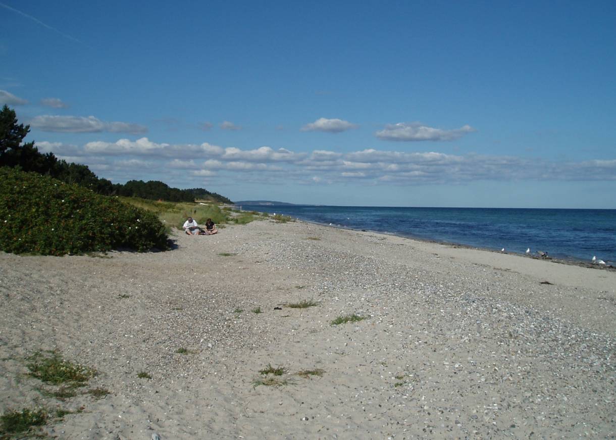 Sandbucht mit Heckenrosen und einigen Steinen