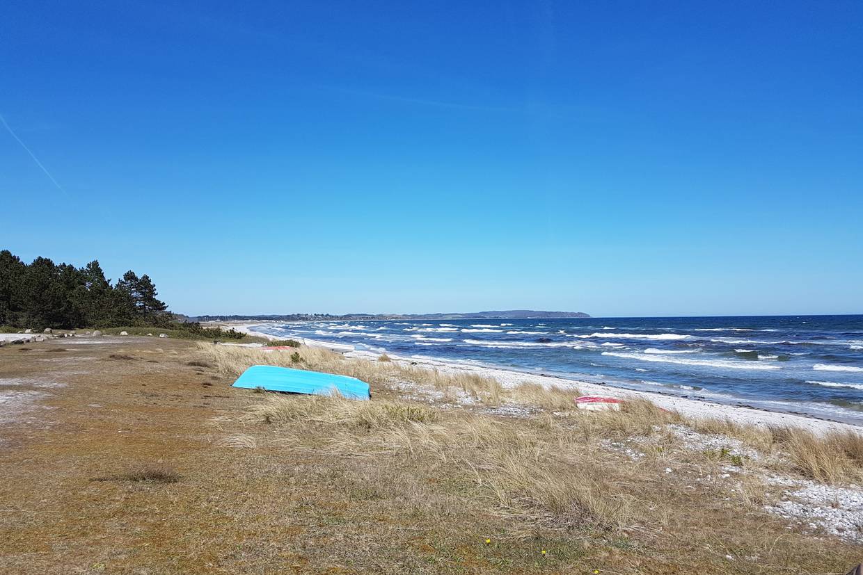 Foto von Elsegårde Strand