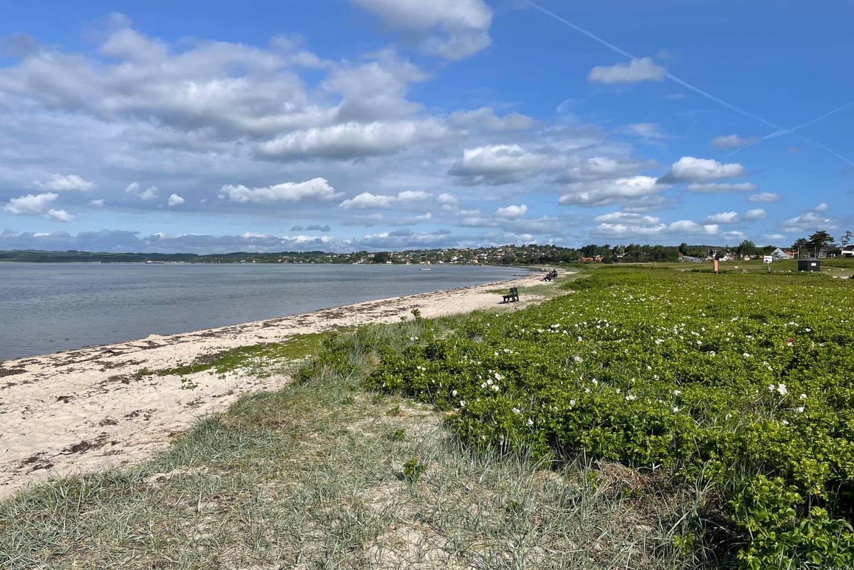 Foto von Vibæk Strand