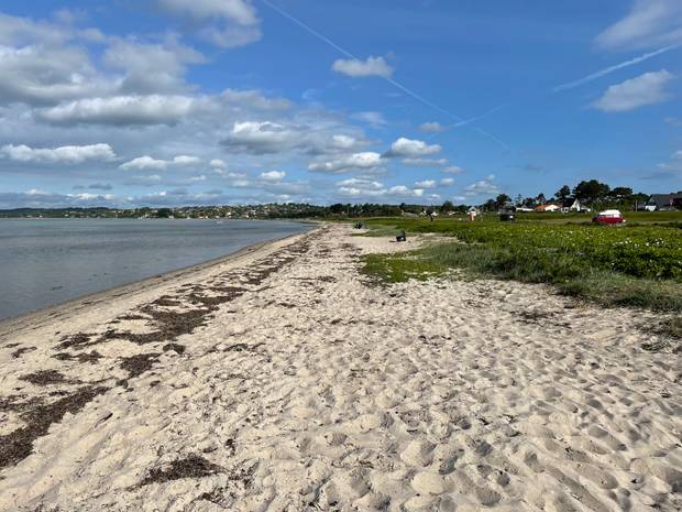 Grüne Küstenlinie vor Ebeltoft mit Ferienhäusern am Hang