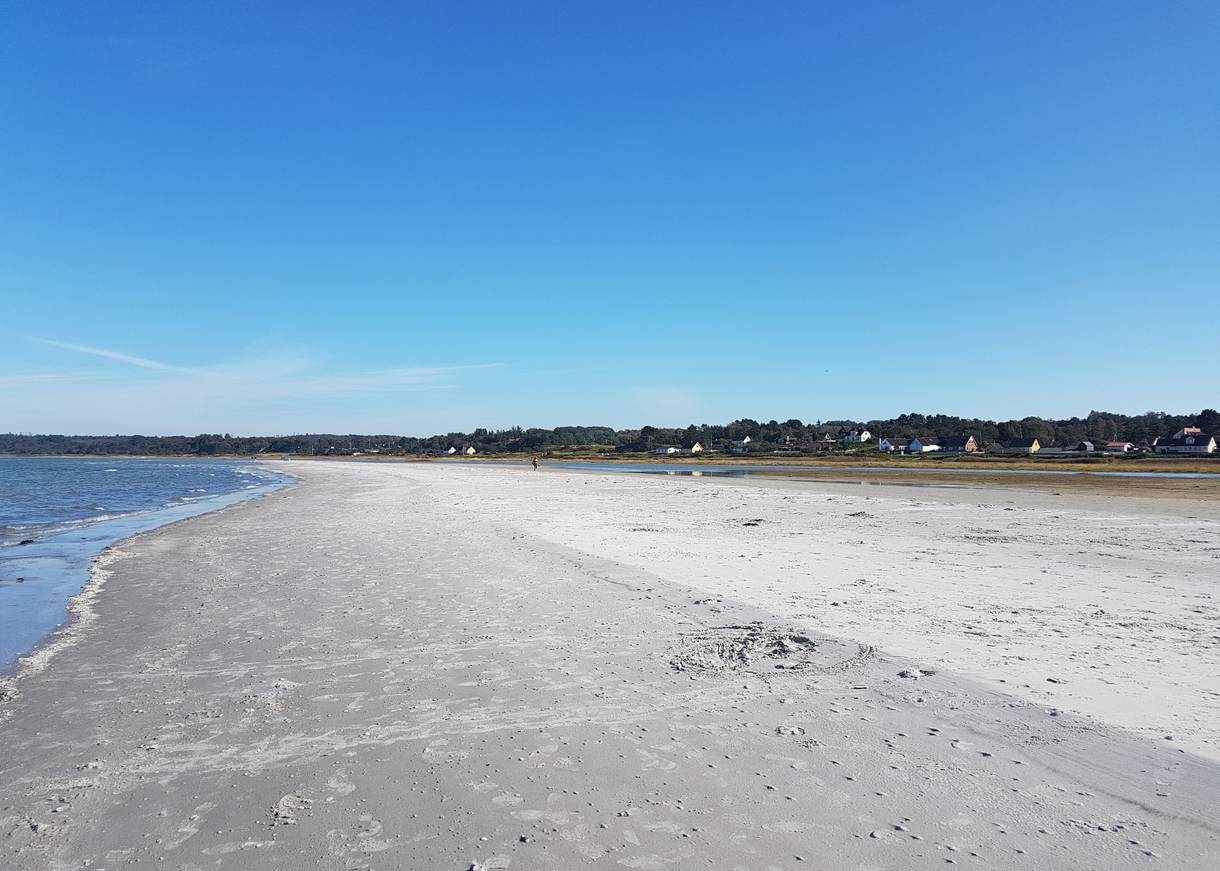 Sandbank mit feinem Sand, im Hintergrund Wald
