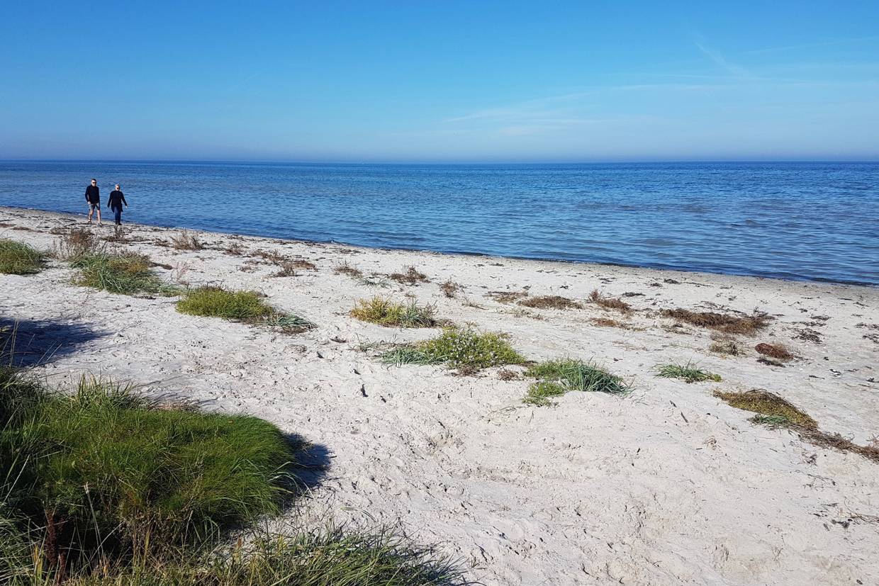 Foto von Skovgårde Strand