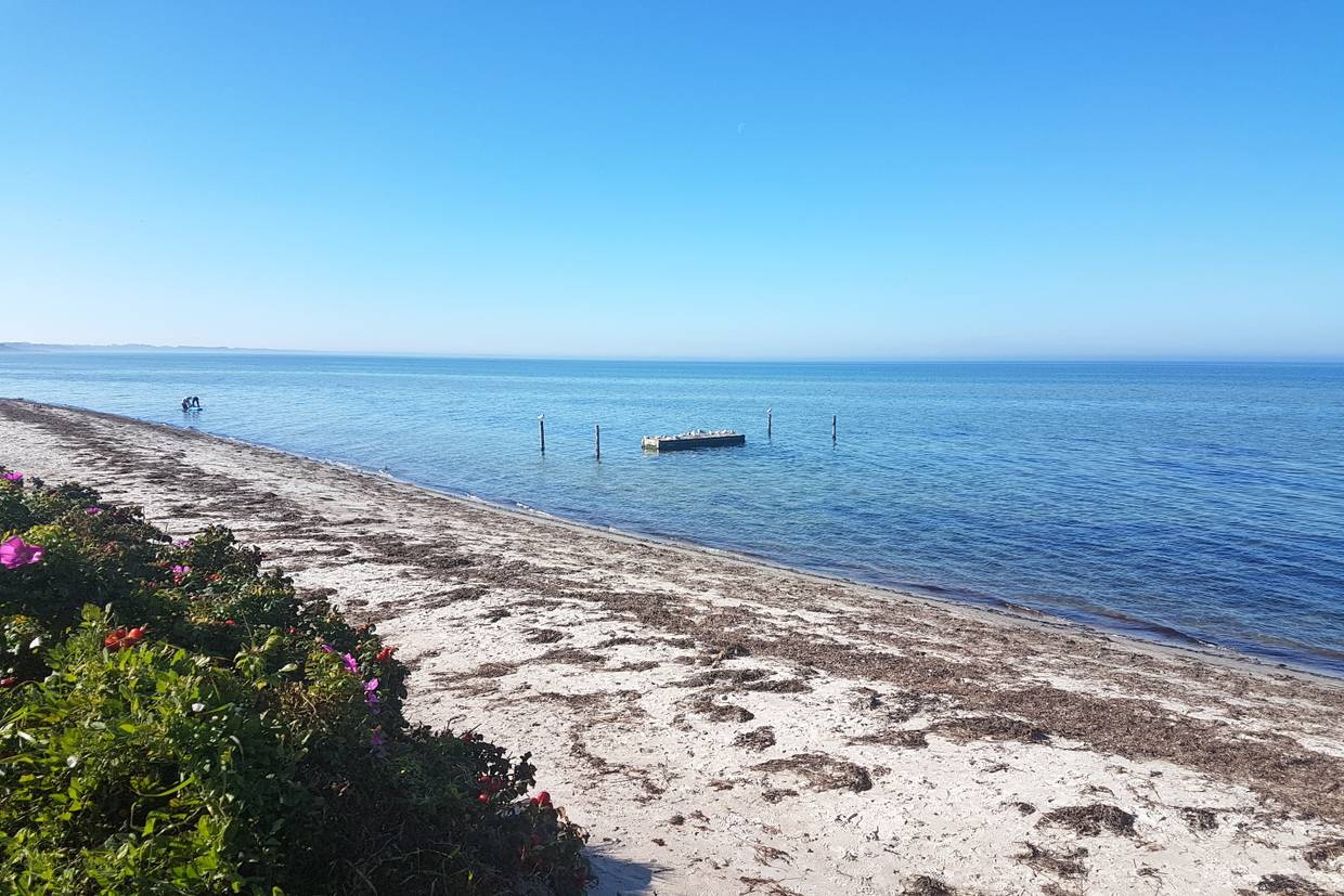 Foto von Fjellerup Strand