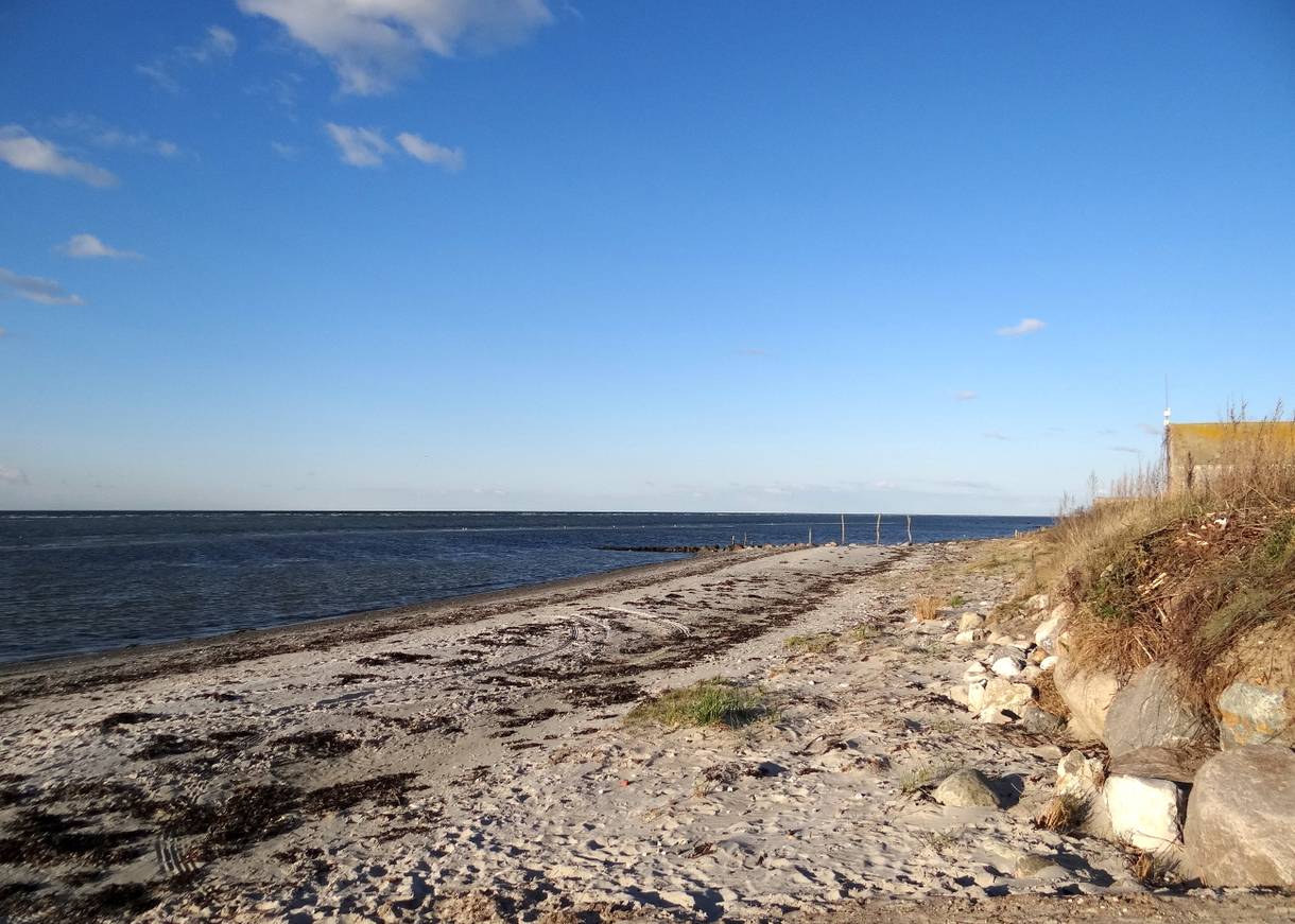 Schmaler, seegrasbedeckter Strand, davor dicke Steine