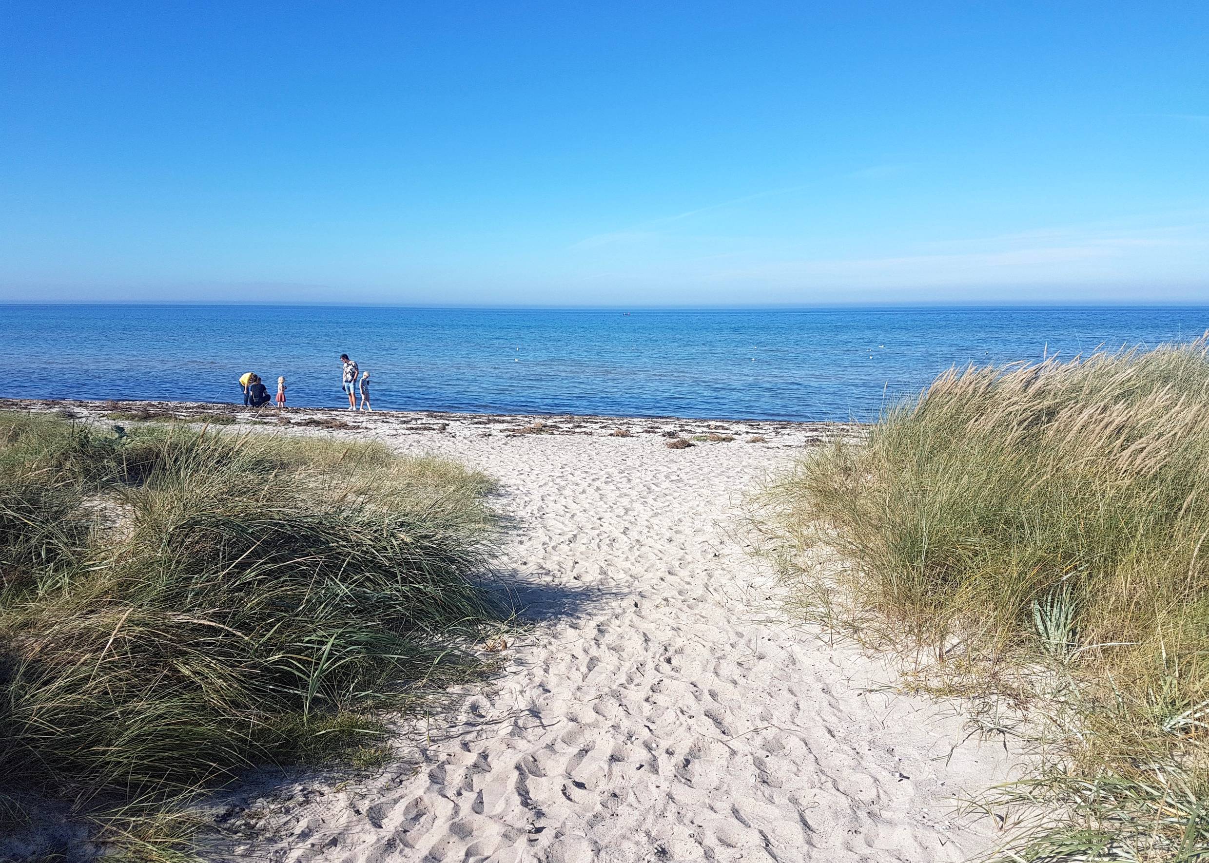 Zugang zum Strand zwischen flachen Dünen mit Strandhafer