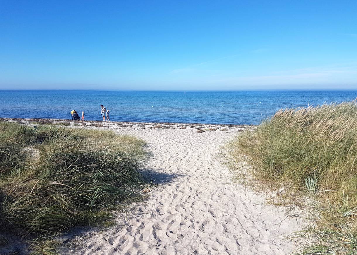 Zugang zum Strand zwischen flachen Dünen mit Strandhafer