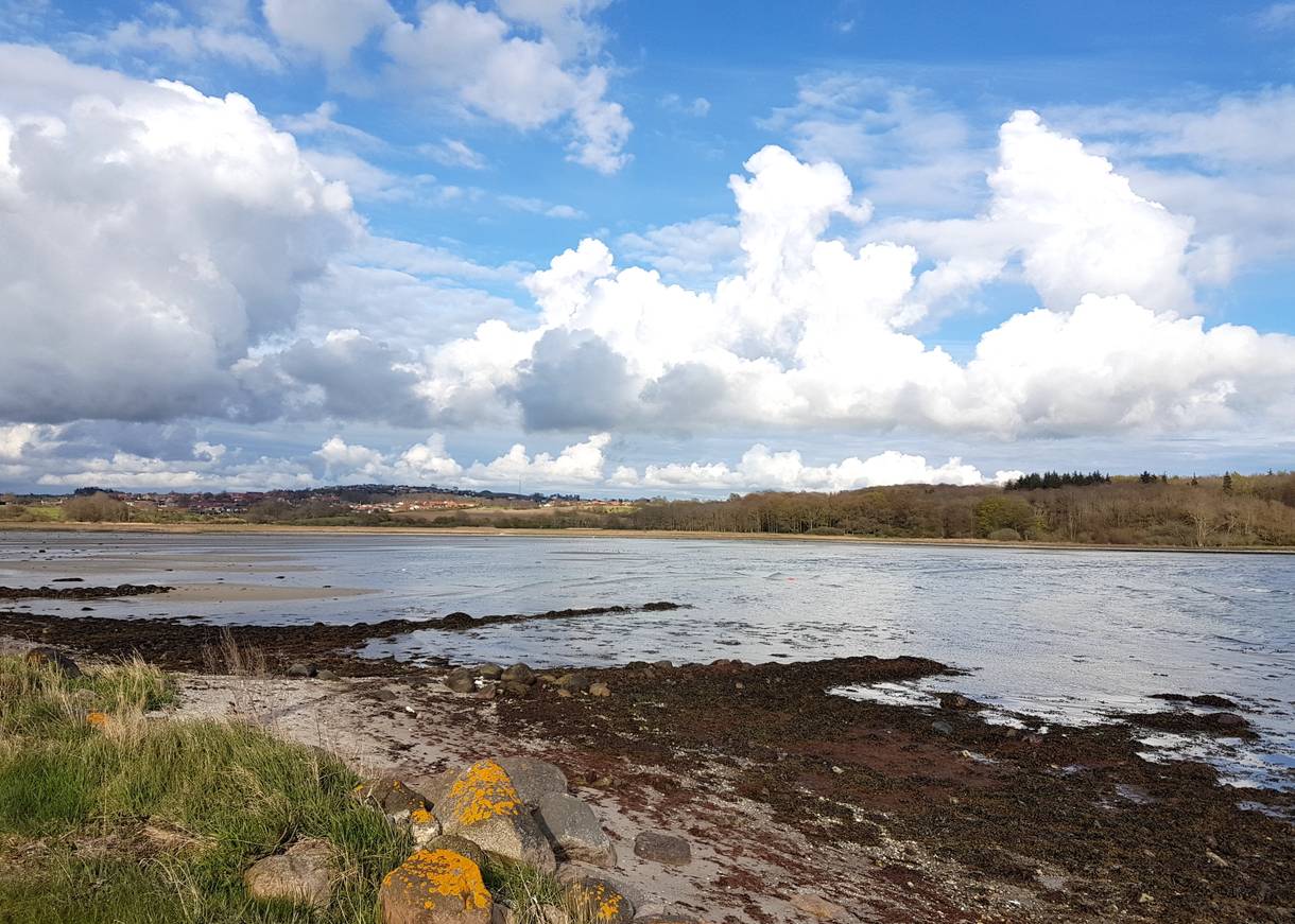 Langgezogene Bucht bei Ebbe, im Hintergrund flache Hügel mit Häusern und Wald