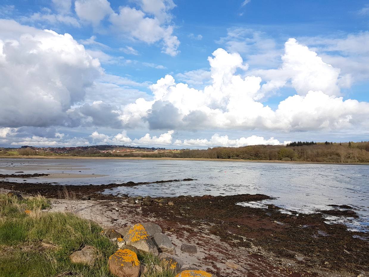 Langgezogene Bucht bei Ebbe, im Hintergrund flache Hügel mit Häusern und Wald