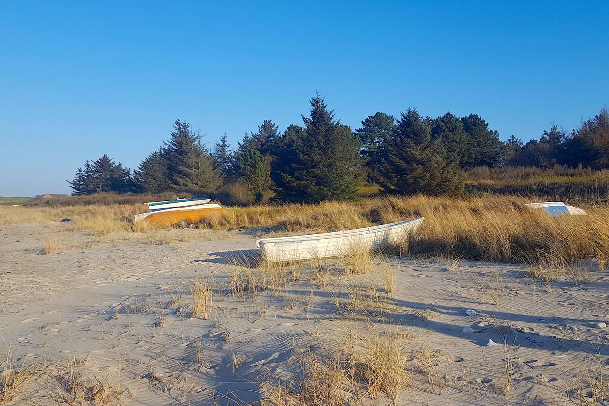 Foto von Gjerrild Strand