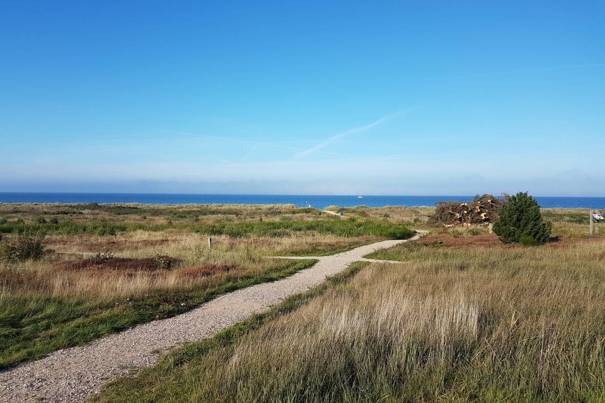 Foto von Gjerrild Strand