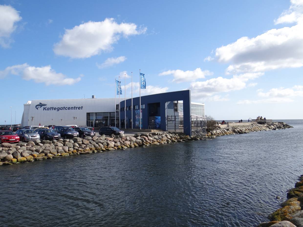 Blick auf das Aquarium des Kattegatcentret