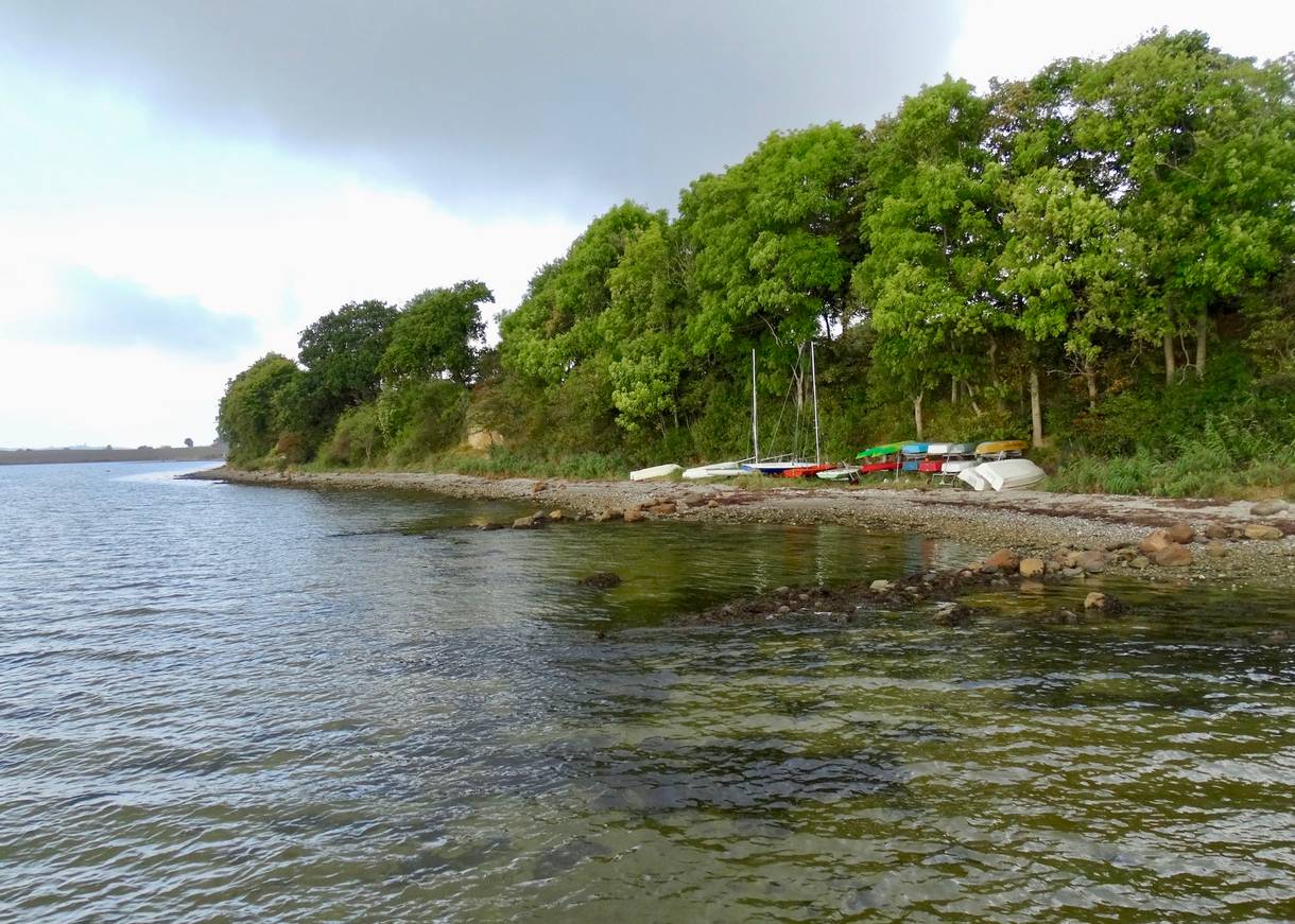 Bunte Boote liegen auf dem bewaldeten Strand des Horsens Fjords