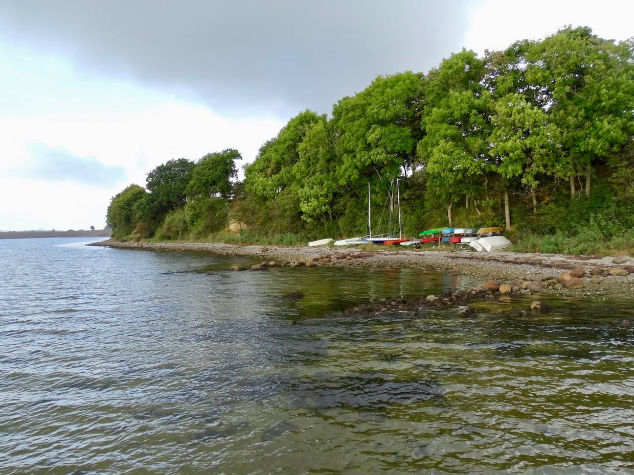 Bunte Boote liegen auf dem bewaldeten Strand des Horsens Fjords