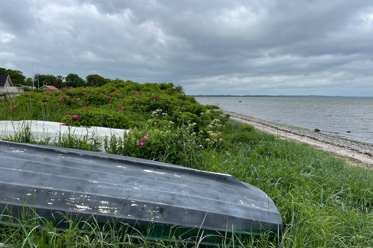 Foto von Lystrup Strand