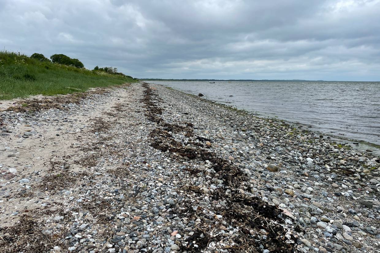 Foto von Lystrup Strand
