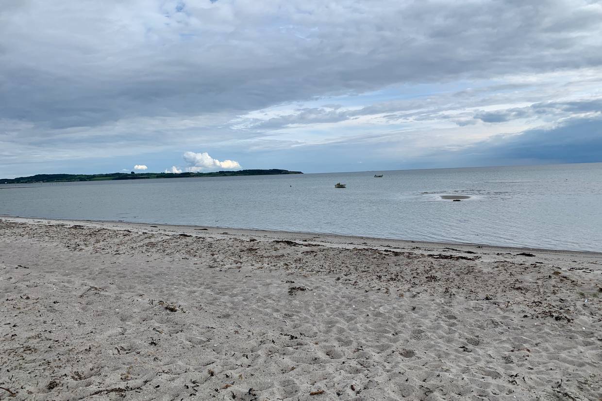 Foto von Begtrup Vig Strand