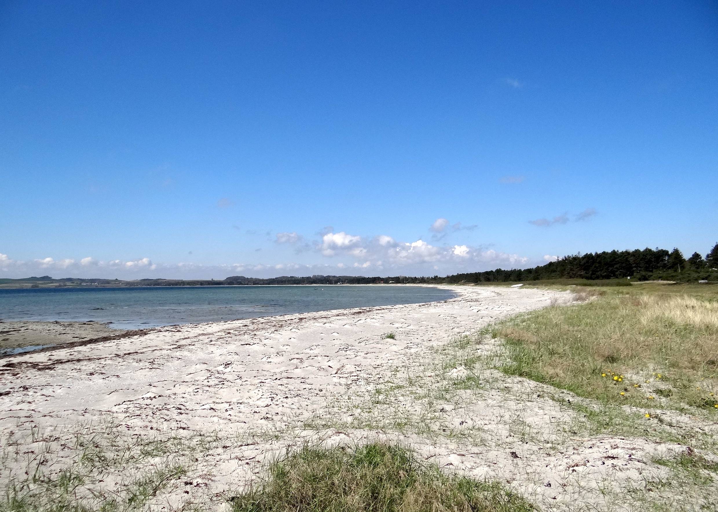 Weißer, flacher Strand mit Gras und etwas Seegras am Ufer