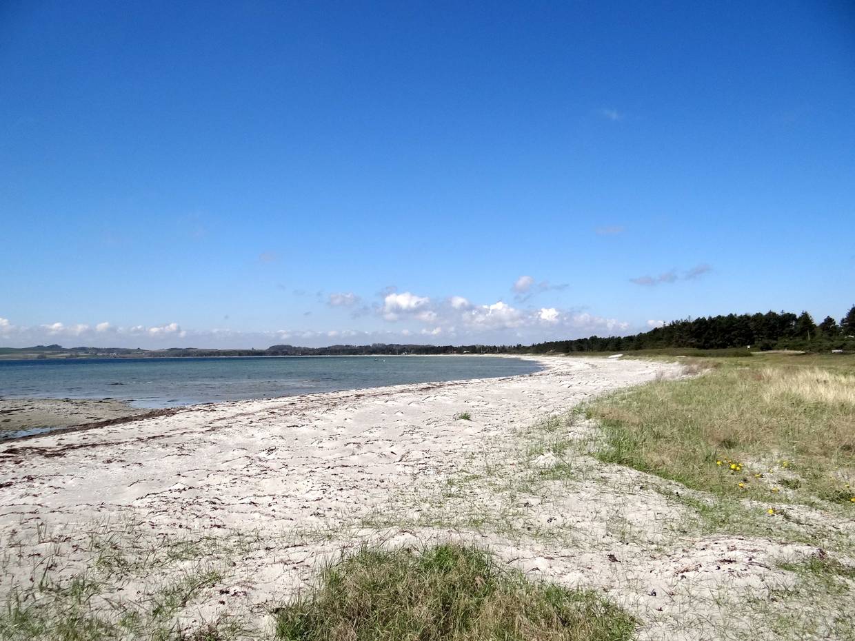 Weißer, flacher Strand mit Gras und etwas Seegras am Ufer