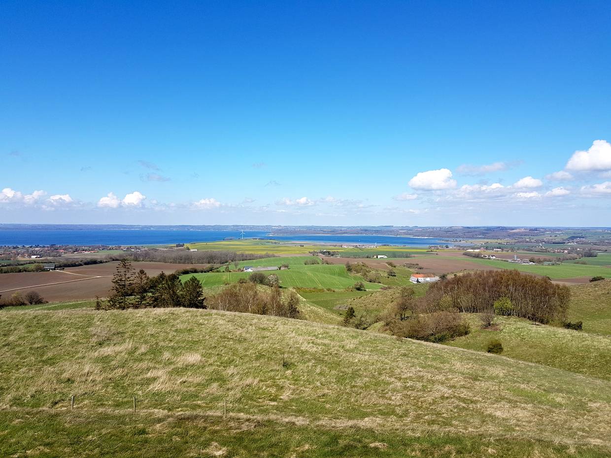 Aussicht auf die Bucht Kalø Vig