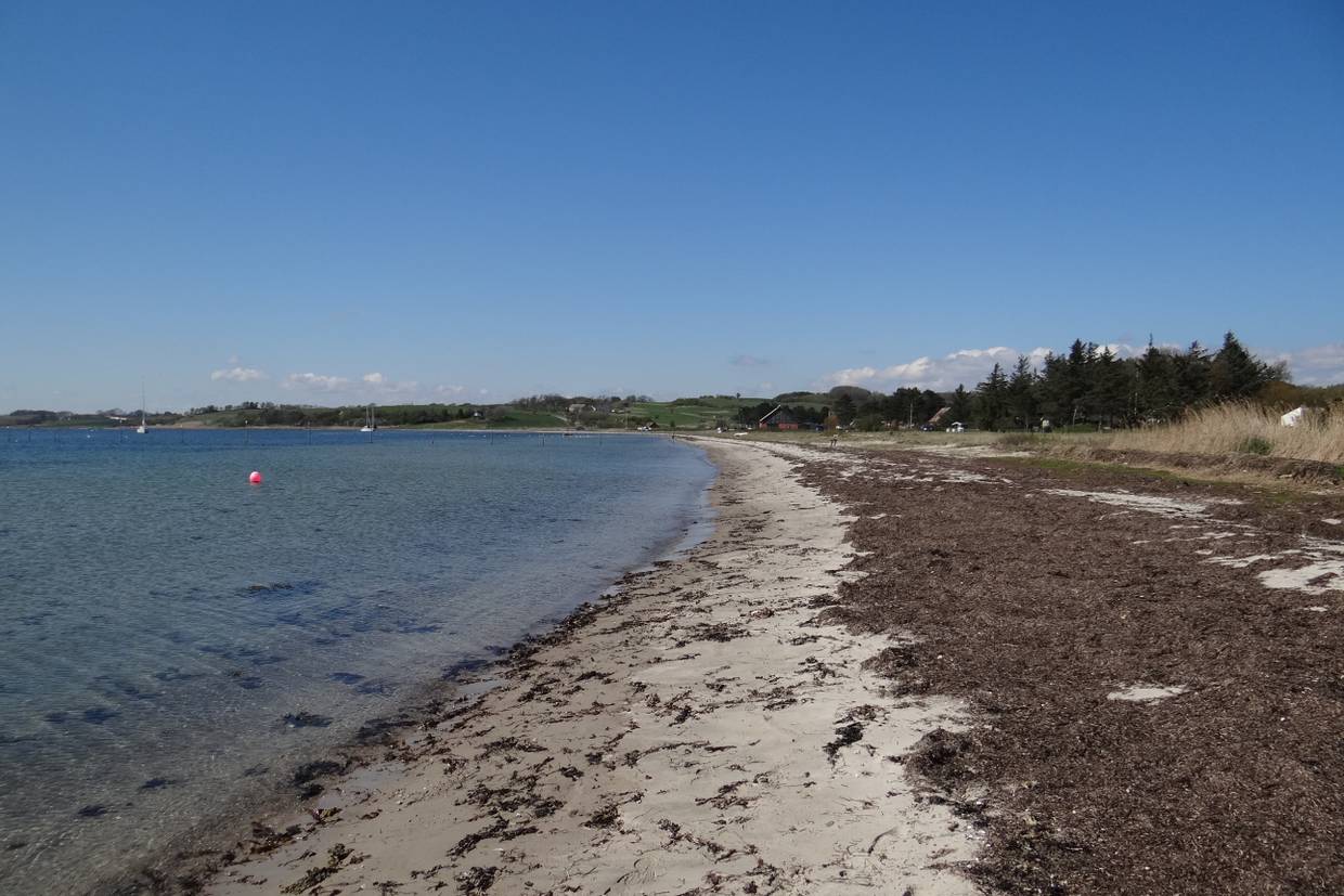 Foto von Dragsmur Strand