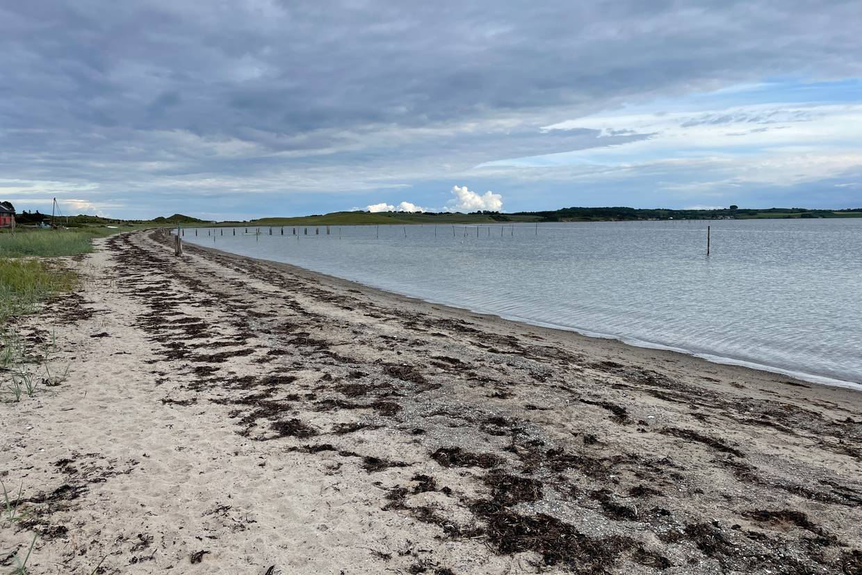 Foto von Dragsmur Strand