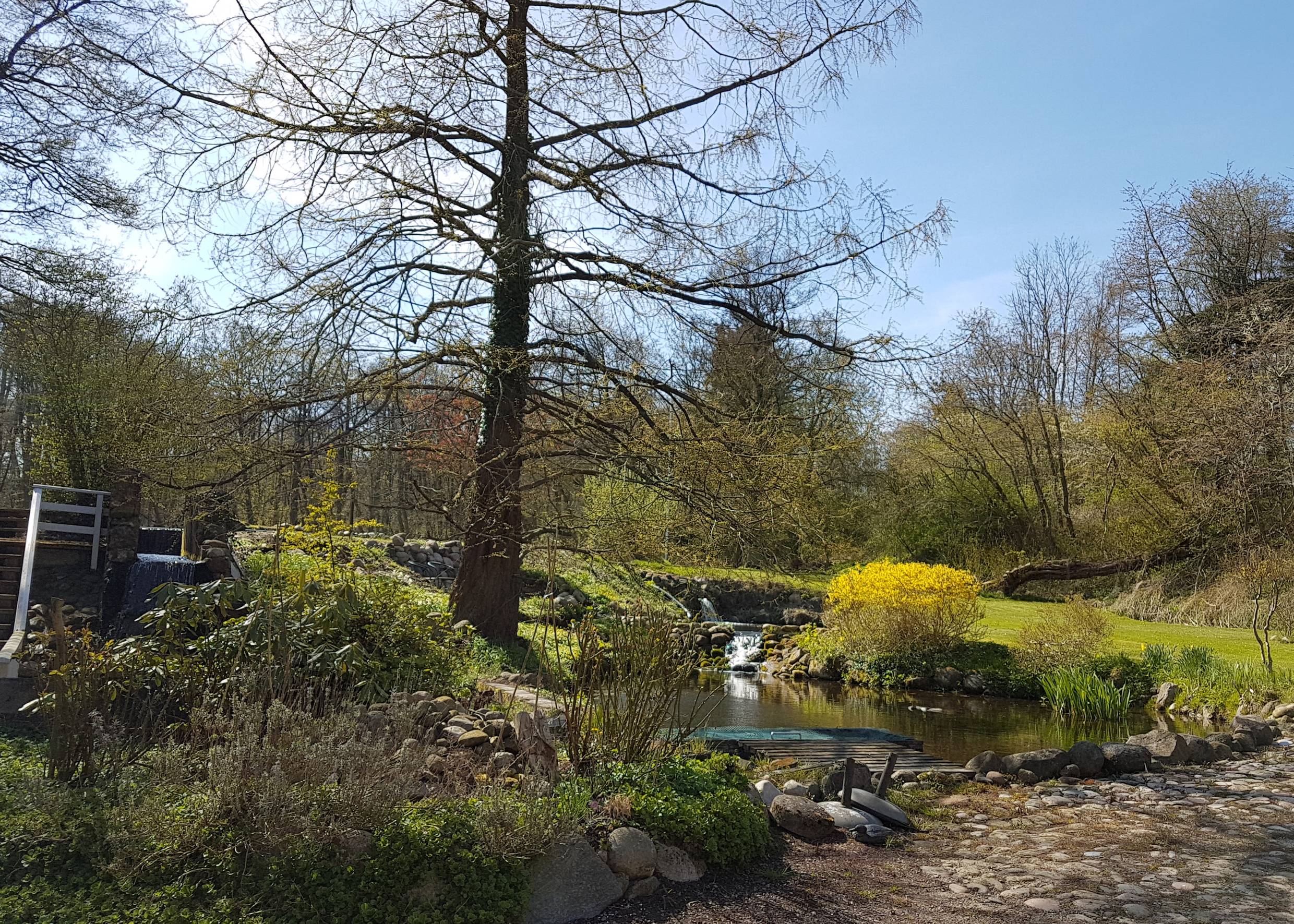 Reste eines Mühlteichs in einem Garten 