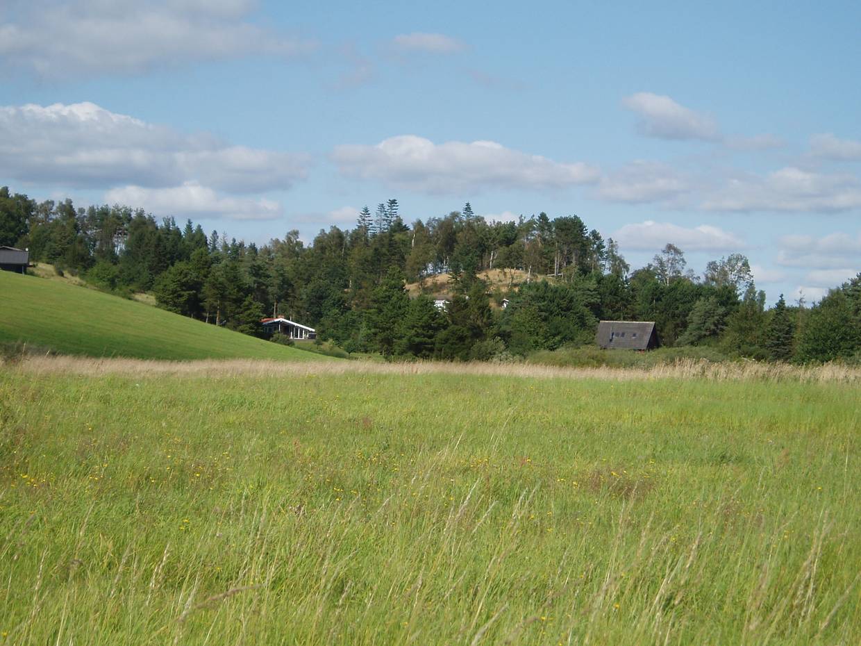 Ferienhäuser auf einem bewaldeten Hügel