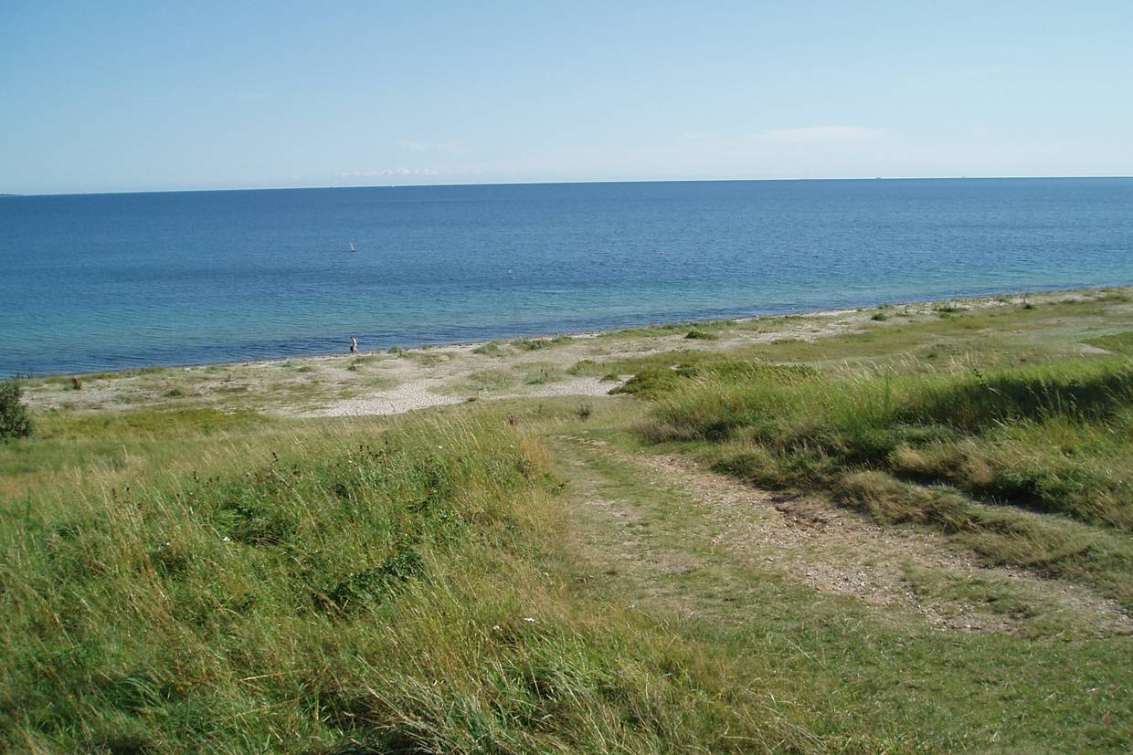 Foto von Fuglsø Strand