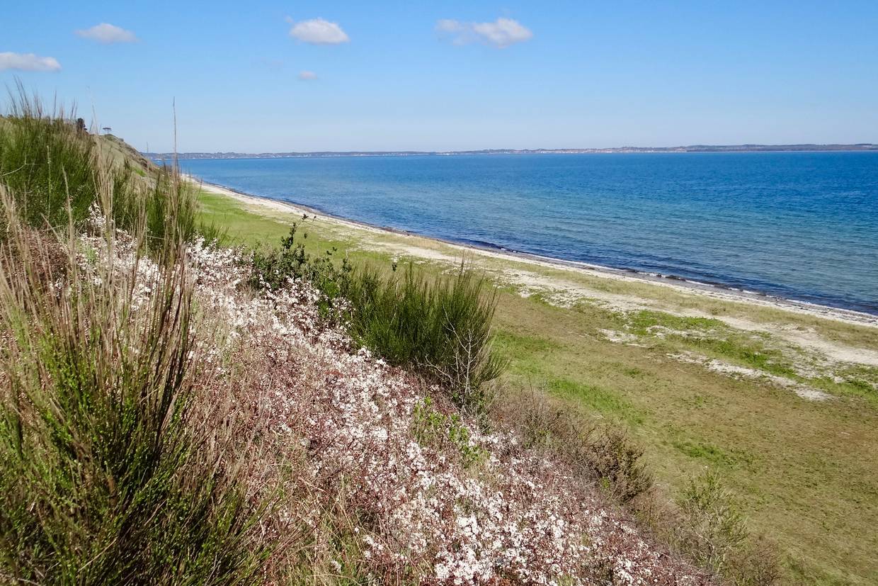 Foto von Fuglsø Strand