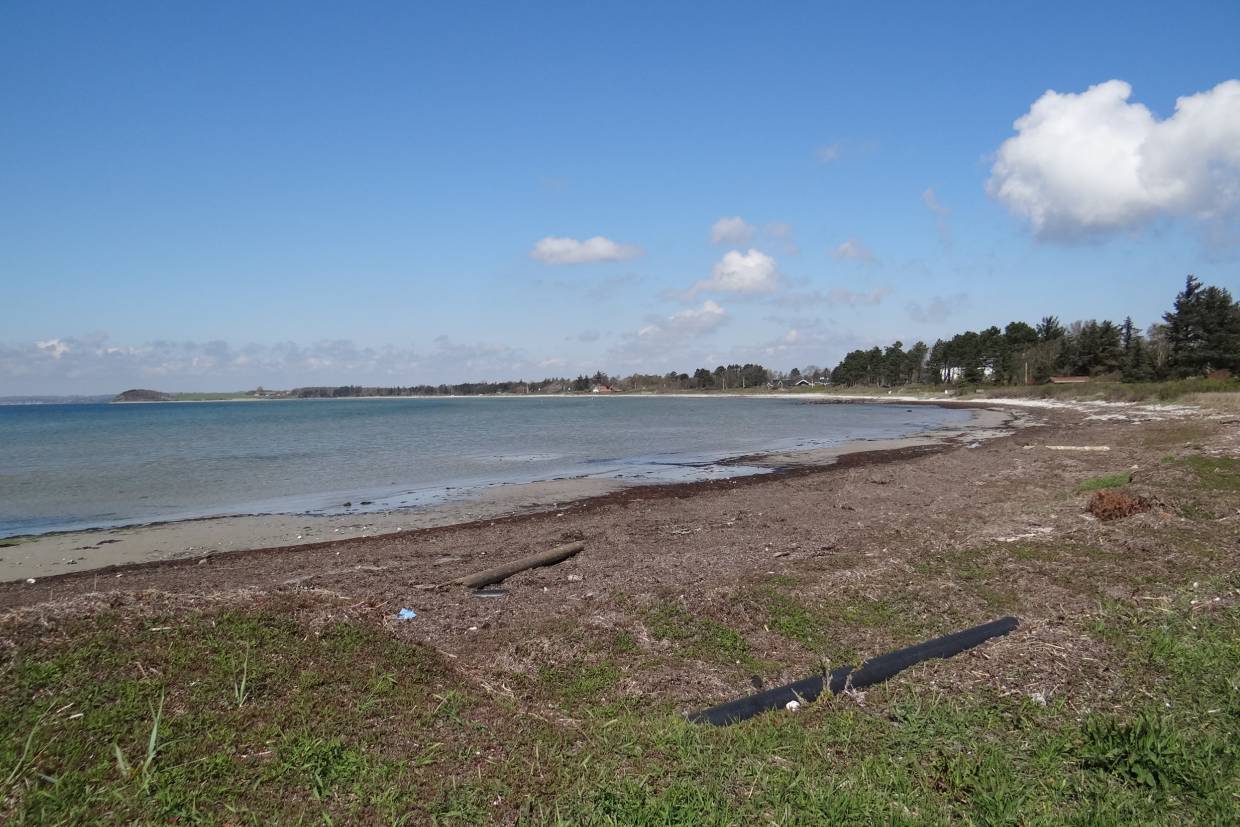 Foto von Skødshoved Strand 