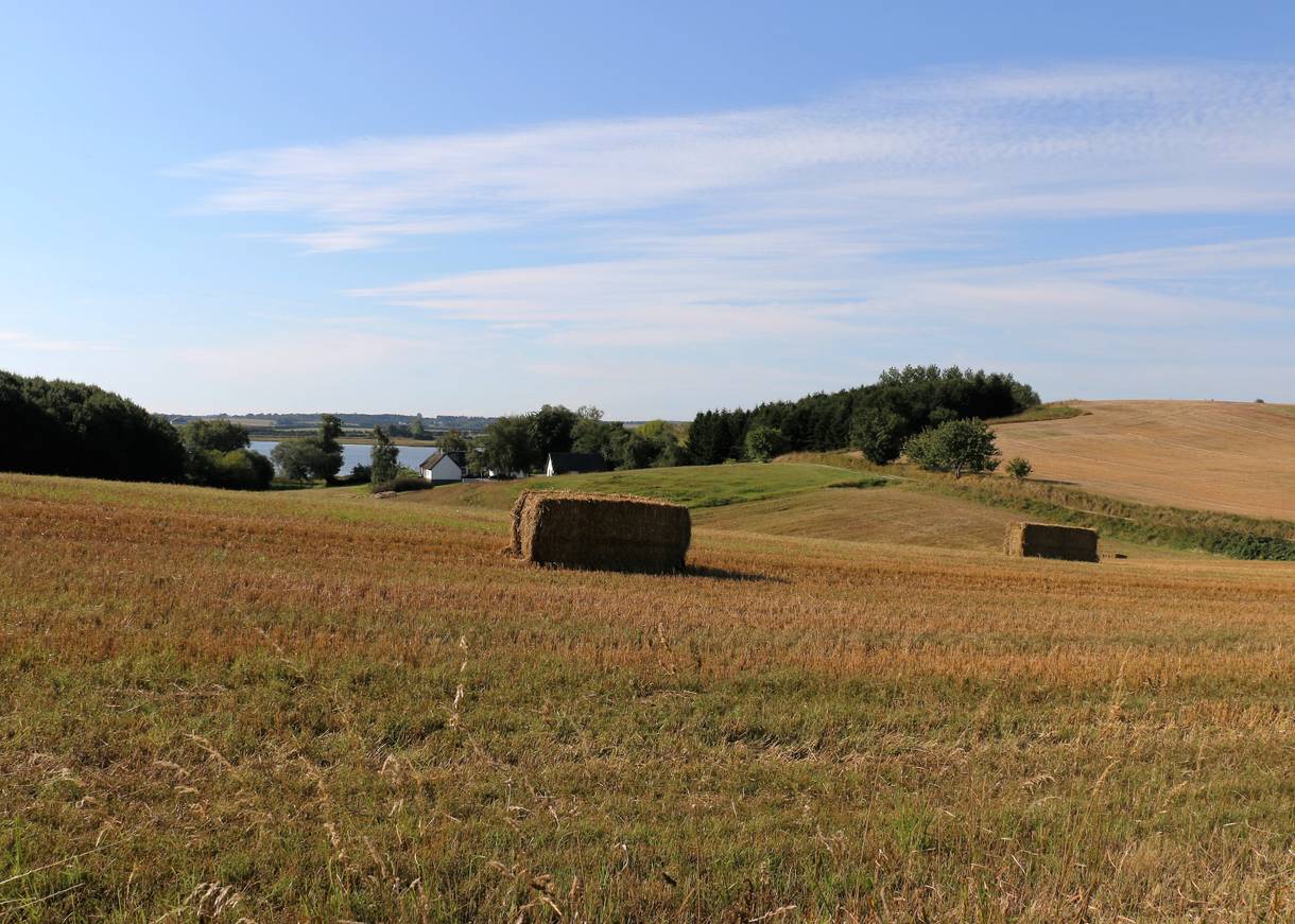 Stoppelfelder in den Hügeln mit Meerblick