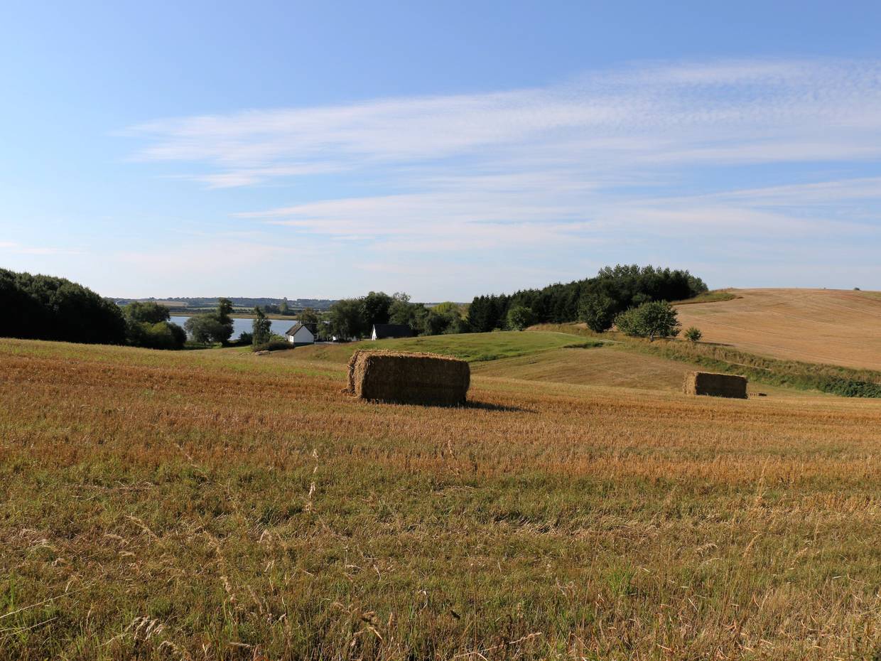 Stoppelfelder in den Hügeln mit Meerblick