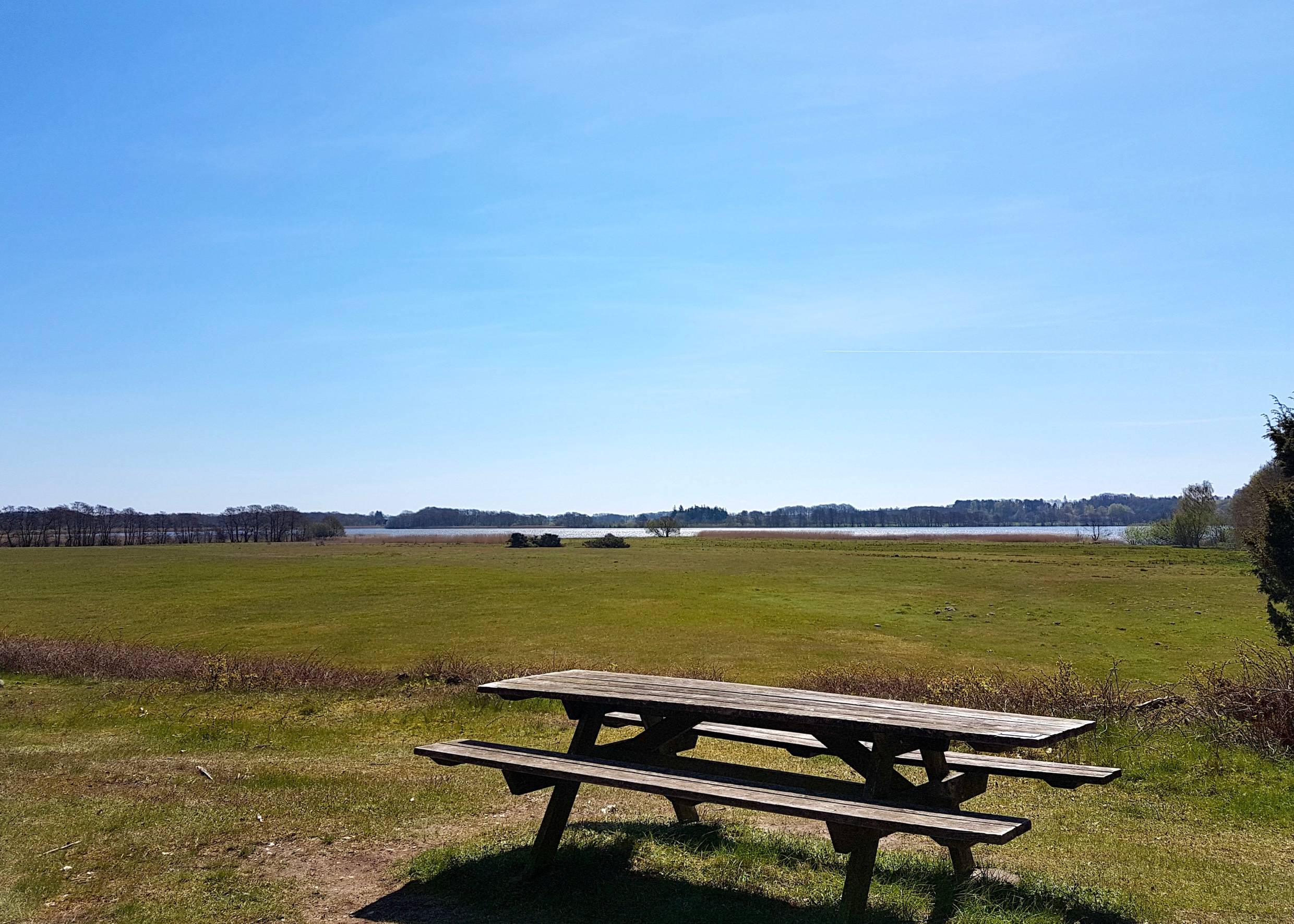 Einsame Picknickbank auf eine großen Wiese am Stubbe See